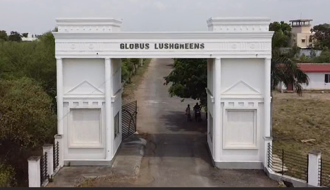 Globus lush green LUSH GREEN,thennampalayam